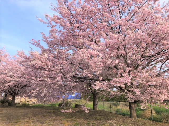 ４月の定休日