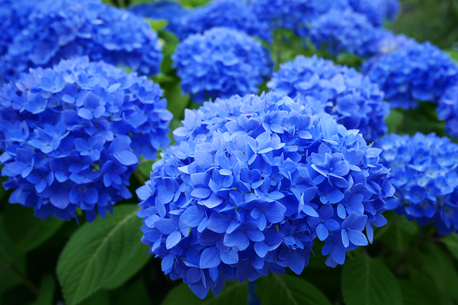 ５月の定休日